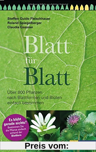 Blatt für Blatt: Über 800 Pflanzen nach Blattformen und Blüten einfach bestimmen